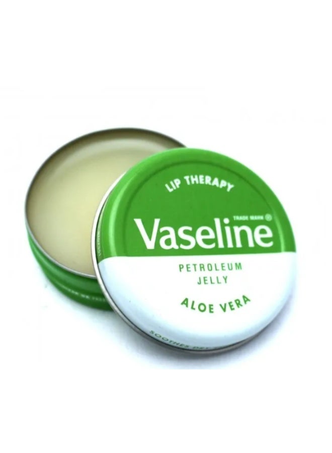 فازلين مرطب شفاه فازلين بخلاصة الصبار (20 جم) - ترطيب مهدئ ومرطب شفاه - تركيبة غير لزجة لشفاه ناعمة - مع الفازلين والصبار - ترطيب يدوم 24 ساعة - Image 2